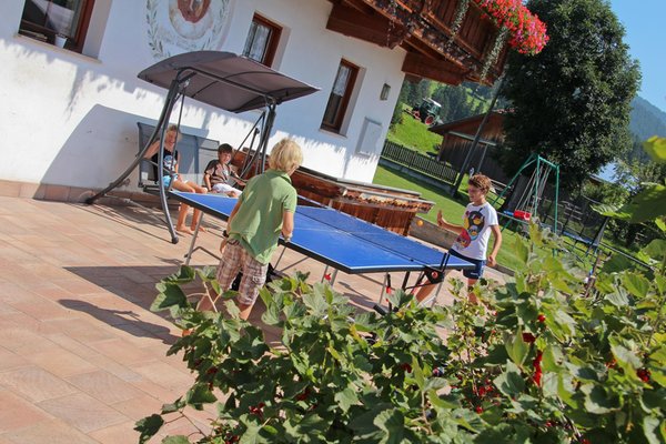 Foto del giardino Tesido