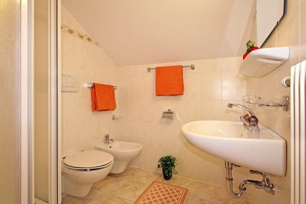 Foto del bagno Appartamenti in agriturismo Schmözlhof