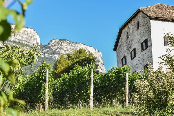 Foto del giardino Appiano Monte (Strada del Vino Nord)
