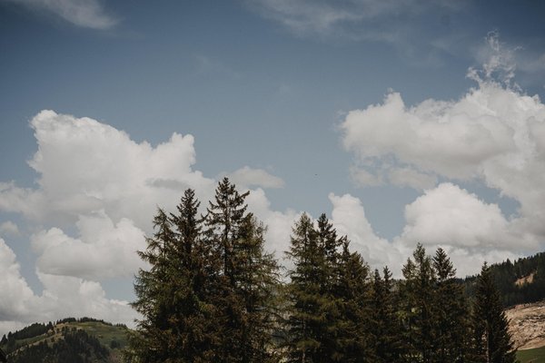Photo gallery summer