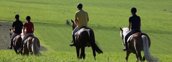 Aktivitäten Kronplatz