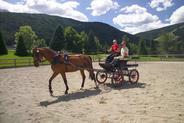 Aktivitäten Kronplatz