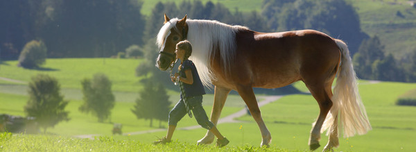 Aktivitäten Kronplatz