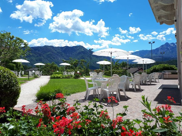 Photo of the garden Levico Terme