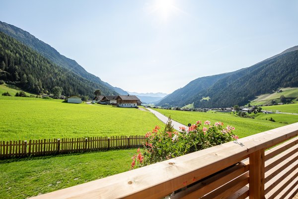 Vista dalla struttura