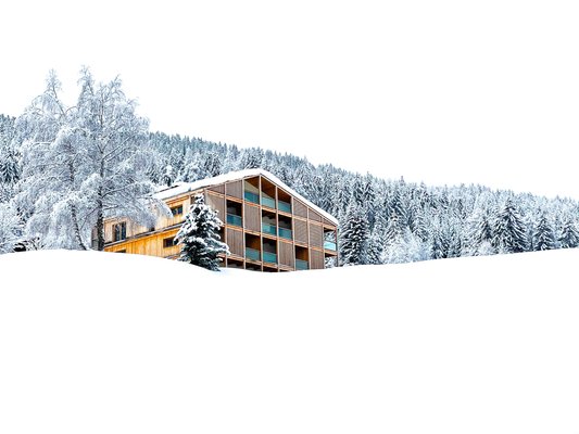 Foto invernale di presentazione Gailerhof Hotel B&B