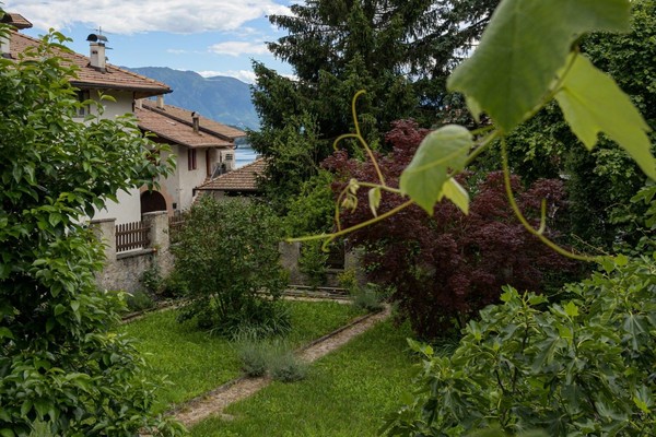Photo of the garden Cagnò (Novella - Rumo)