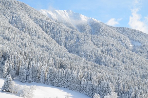Bildergalerie Winter