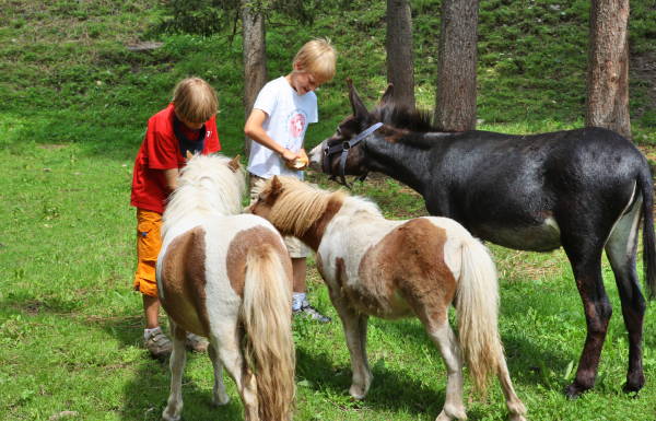 Immagine Pensione in agriturismo Ciasa Pradel