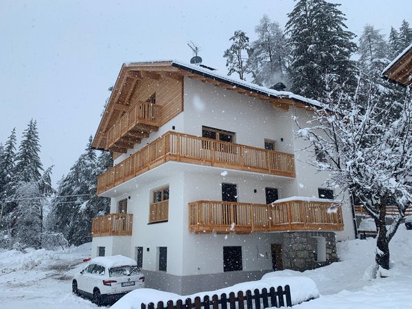 Foto esterno in inverno Niciora