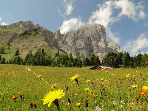 Photo gallery summer