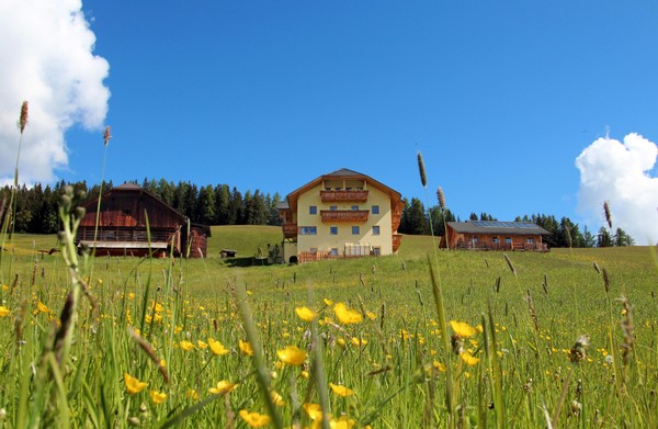 Foto esterno Appartamenti in agriturismo Gscnara