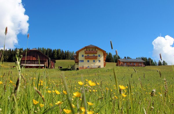 Sommer Präsentationsbild Ferienwohnungen auf dem Bauernhof Gscnara