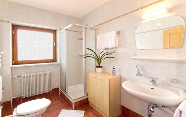 Foto del bagno Appartamenti in agriturismo Gscnara