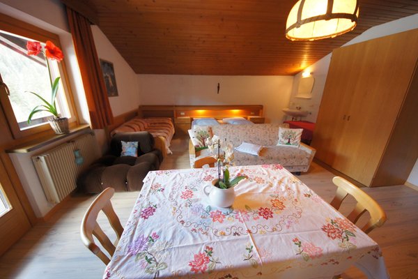 Foto dell'appartamento Oberfreiegg