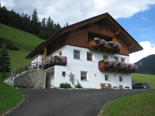 Foto esterno Appartamenti in agriturismo Lüch da Pespach