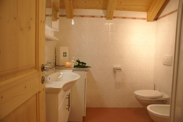 Foto del bagno Appartamenti in agriturismo Lüch da Pespach