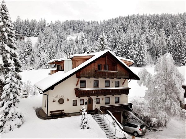 Foto invernale di presentazione Appartamenti in agriturismo Planhof