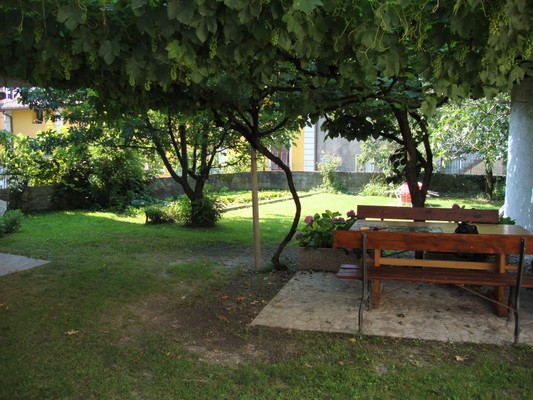 Photo of the garden Levico Terme