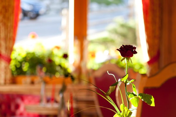 Photo of some details Hotel Antermoia