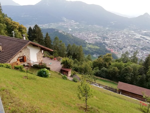 Gallery Valsugana - Lagorai estate