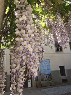 Foto esterno Bed & Breakfast Castello Errante