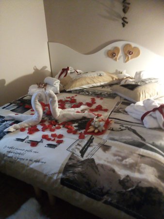 Photo of the room Bed & Breakfast Stella alPina