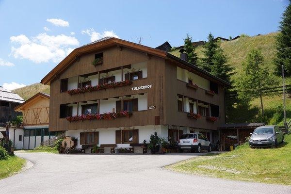 Foto Außenansicht B&B auf dem Bauernhof Tulperhof