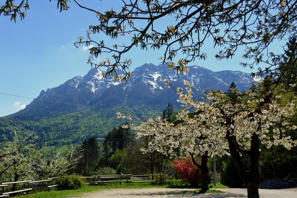 Foto vom Garten Vigolo Vattaro (Altopiano della Vigolana)