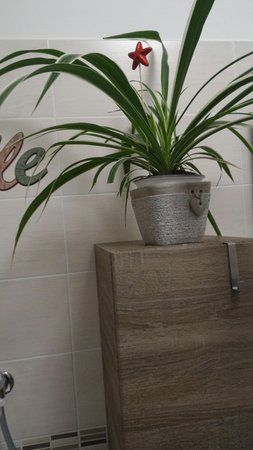 Foto di alcuni dettagli Arturo Montibeller - Casa Nobili