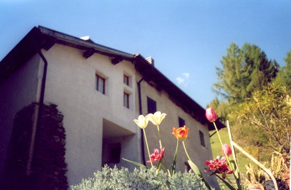 Foto estiva di presentazione Appartamenti Campregher Michele