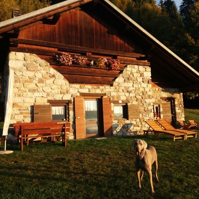 Foto esterno Appartamento in baita Casa Pendola