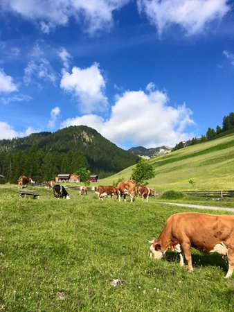 Photo gallery summer