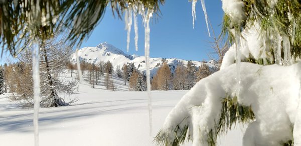 Gallery inverno