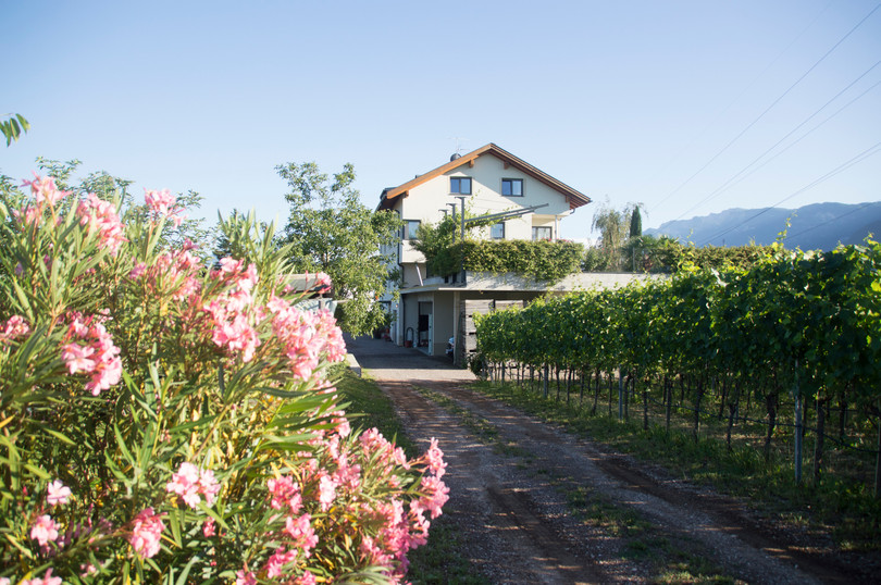 Photo exteriors Farmhouse apartments Tollhof