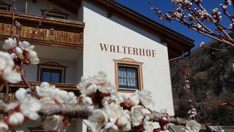 Foto esterno Appartamenti in agriturismo Walterhof