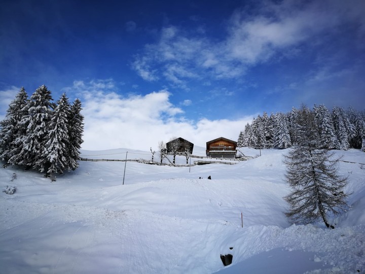 Foto esterno Appartamenti in agriturismo Wiesbauer