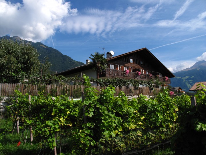 Foto esterno Residence Lenzenau