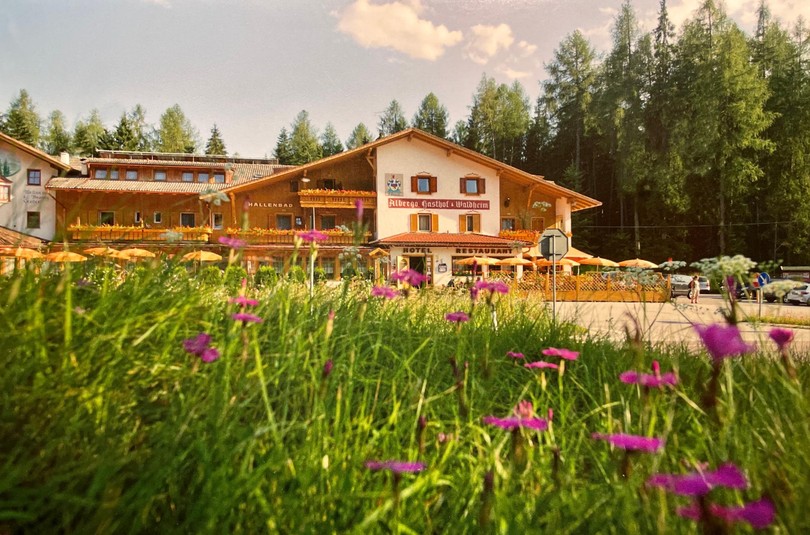 Foto Außenansicht Hotel Waldheim Resort & Spa