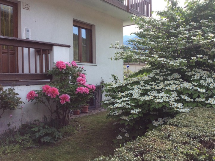 Photo exteriors Apartment Casa Longo