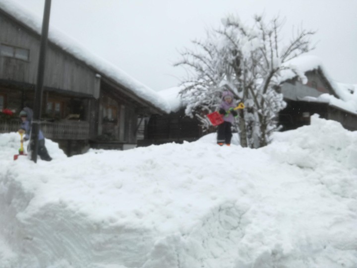 Foto esterno Appartamenti Casa Zambon