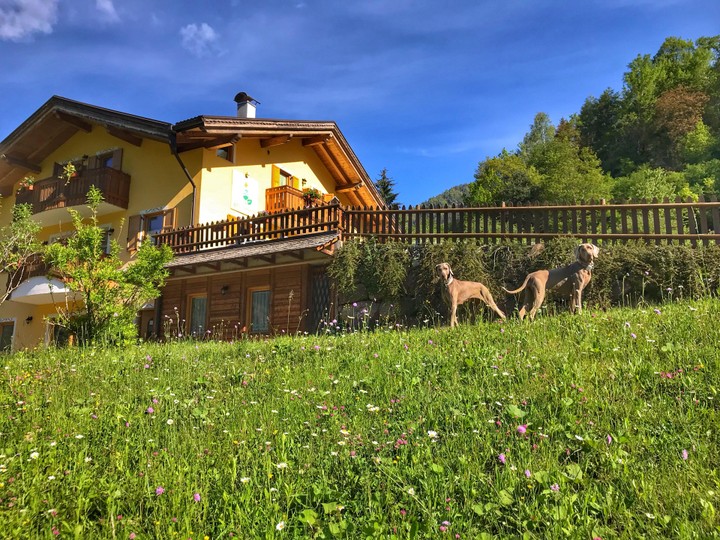 Photo exteriors Bed & Breakfast Eco-Baita Natura Spensierata