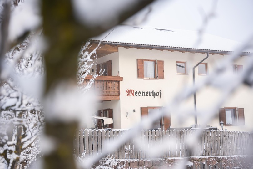 Foto Außenansicht B&B + Ferienwohnungen auf dem Bauernhof Mesnerhof