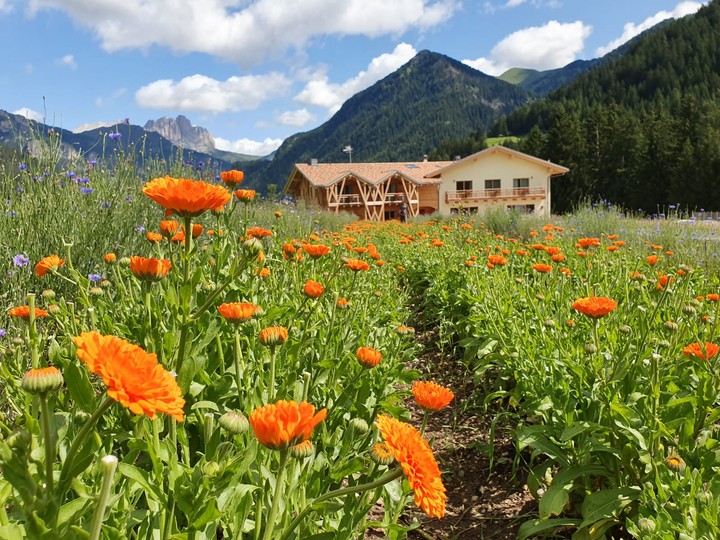 Photo exteriors Farmhouse B&B EcoGreen Agritur Fiores