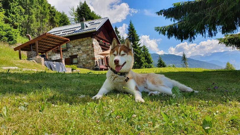 Foto esterno Appartamento in baita Casa Pendola