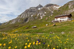 Berghütte Sesvenna