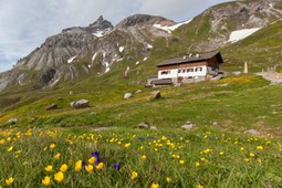 Mountain hut Sesvenna