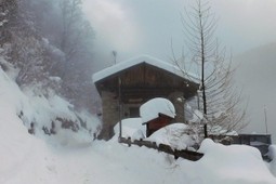 Apartment in hut Maso Tottn