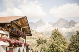 Farmhouse apartments Karerhof