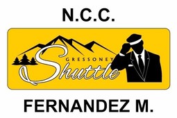 Car hire with driver GRESSONEY SHUTTLE